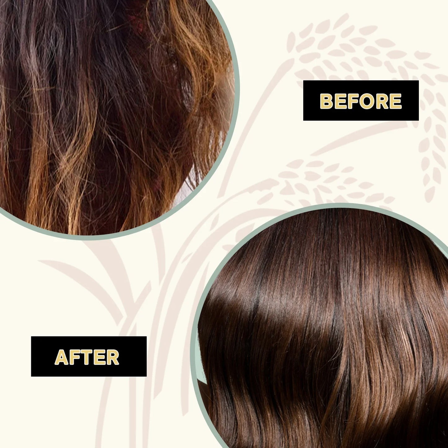 Shampoo & Conditioner Set